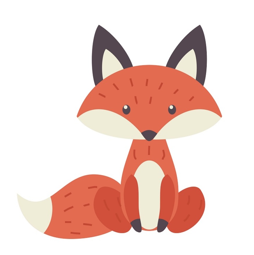 Foto : Anastasia Mazeina / shutterstock.com