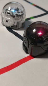 Die Szene zeigt zwei kleine, kugelförmige Roboter, die auf einem weißen Blatt positioniert sind. Der Roboter links ist transparent und der rechts ist tiefschwarz. Beide Roboter stehen auf einem weißen Hintergrund, auf dem schwarze Linien, unterbrochen von