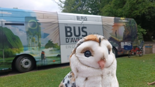 Das Bild zeigt eine Plüsch-Eule im Vordergrund, die den BI-BUS, den Bücherbus der Stadtbibliothek Saarbrücken, im Hintergrund unscharf darstellt. Der Bus ist mit einem bunten Design versehen. Im Hintergrund befindet sich ein Stück Rasen und ein Fahrrad is